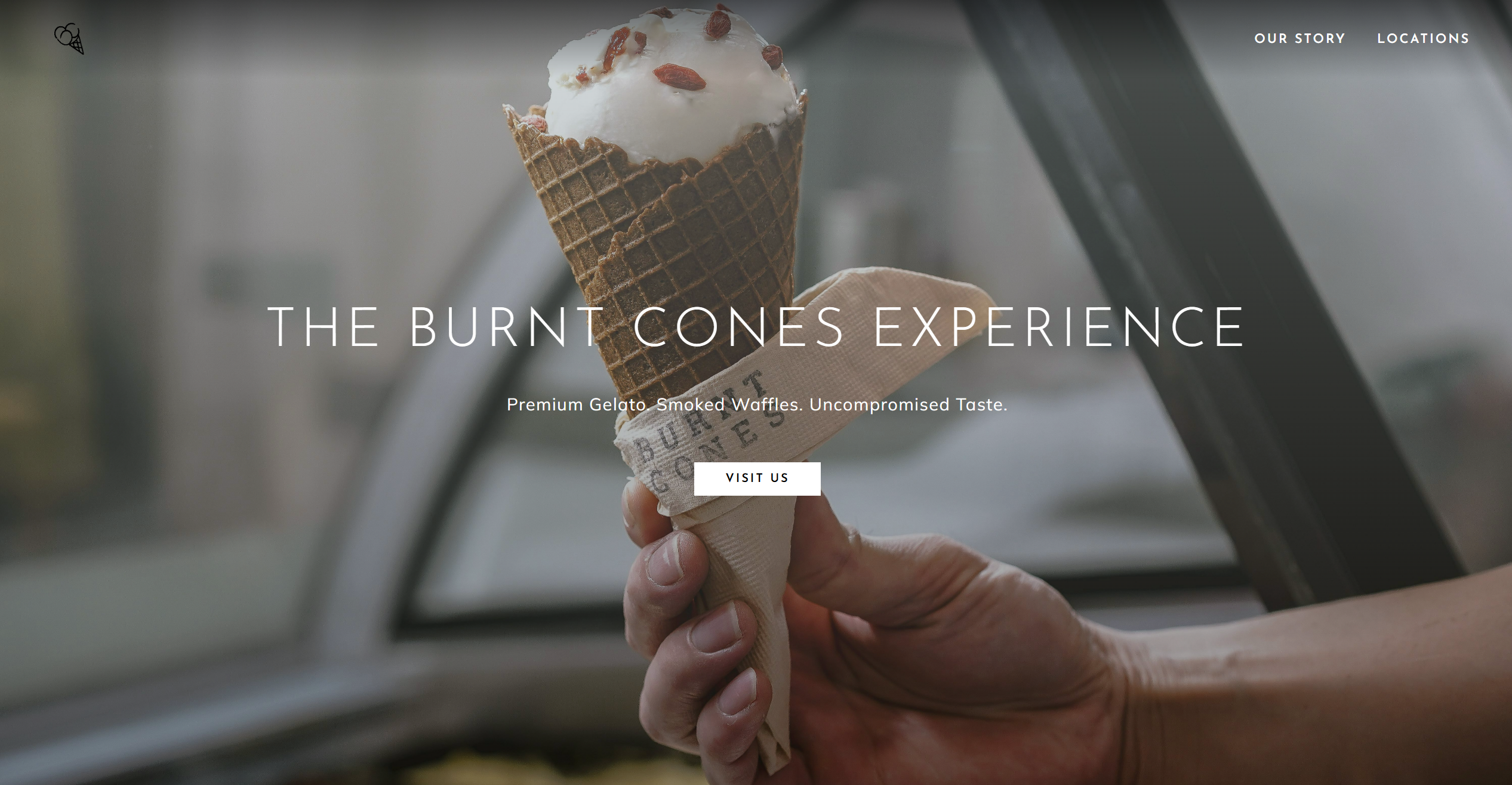 Website redesign project preview